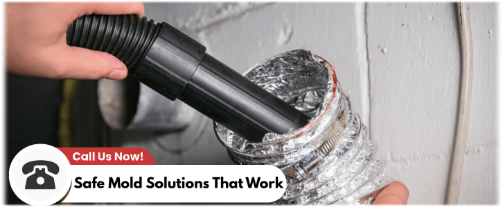 Air Duct Mold Removal in Arlington