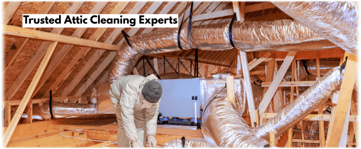 Attic Cleaning Arlington