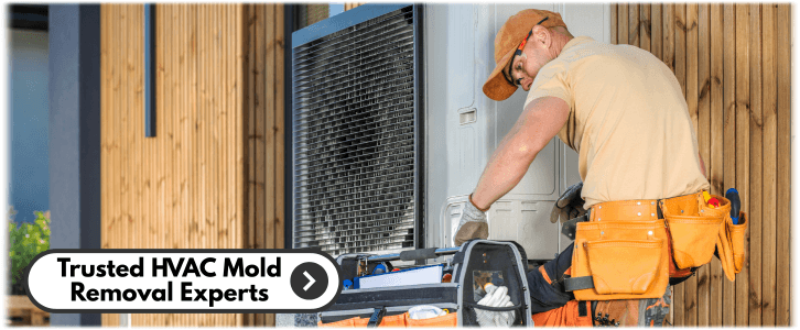HVAC Mold Removal Arlington
